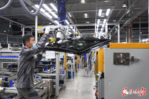 偉巴斯特武漢工廠提前三月投產，區域外資集聚效應凸顯